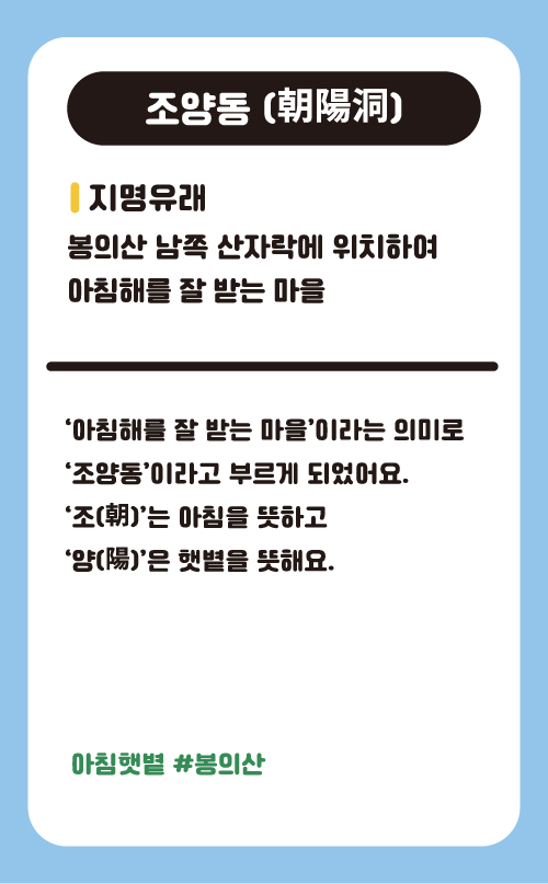 조양동